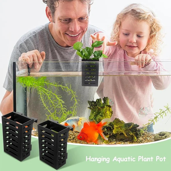 succulent plants potting soil Succulent & Cactus Soil - 4 Quarts