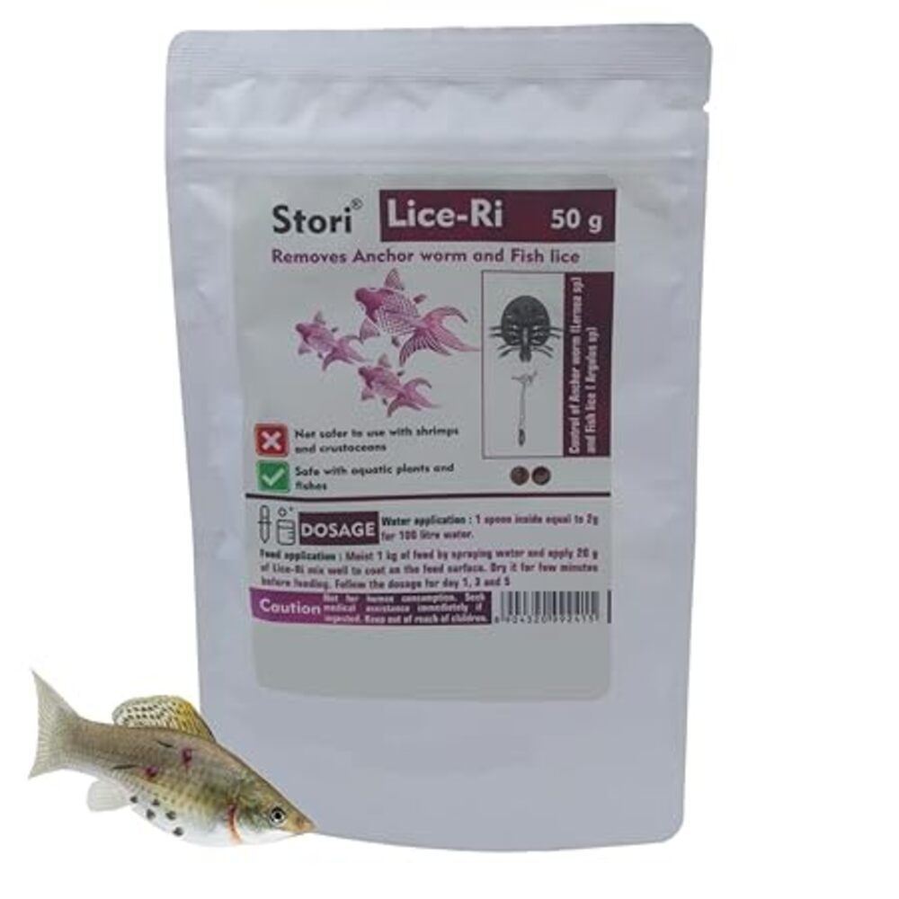 Pet Kadai – Online aquarium Store – Life is better with pets