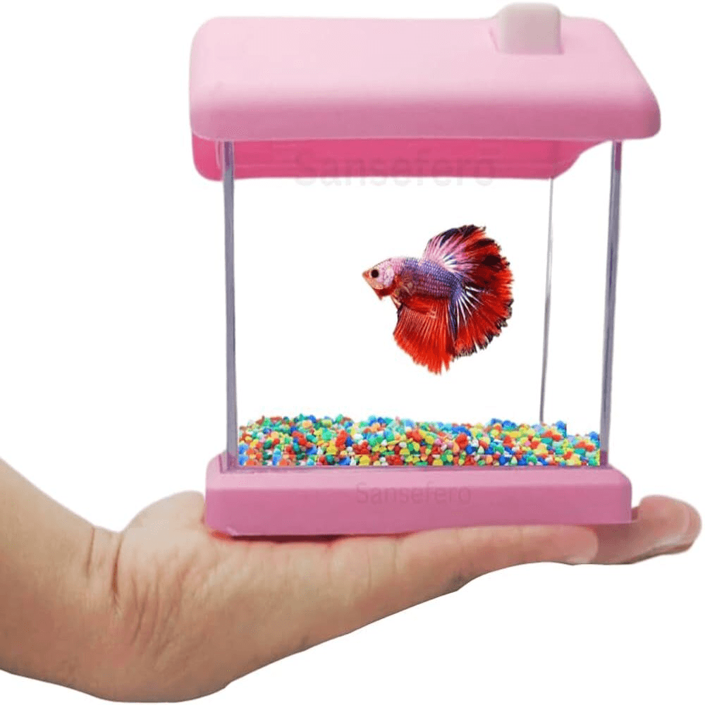 Pet Kadai – Online aquarium Store – Life is better with pets