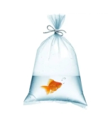 Fish Packing Cover (5*10 )100gms