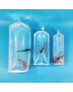 Fish Packing Cover (5*16) 100gms